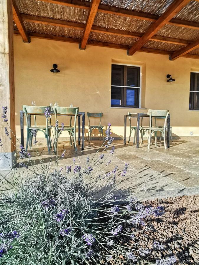 Agriturismo Casa Ricci Magliano in Toscana Bagian luar foto