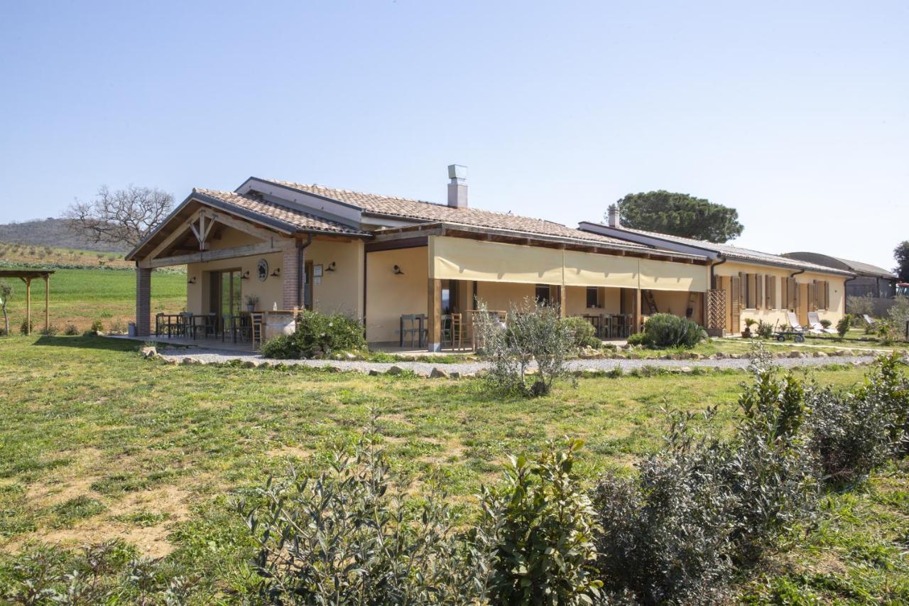 Agriturismo Casa Ricci Villa Magliano in Toscana Bagian luar foto