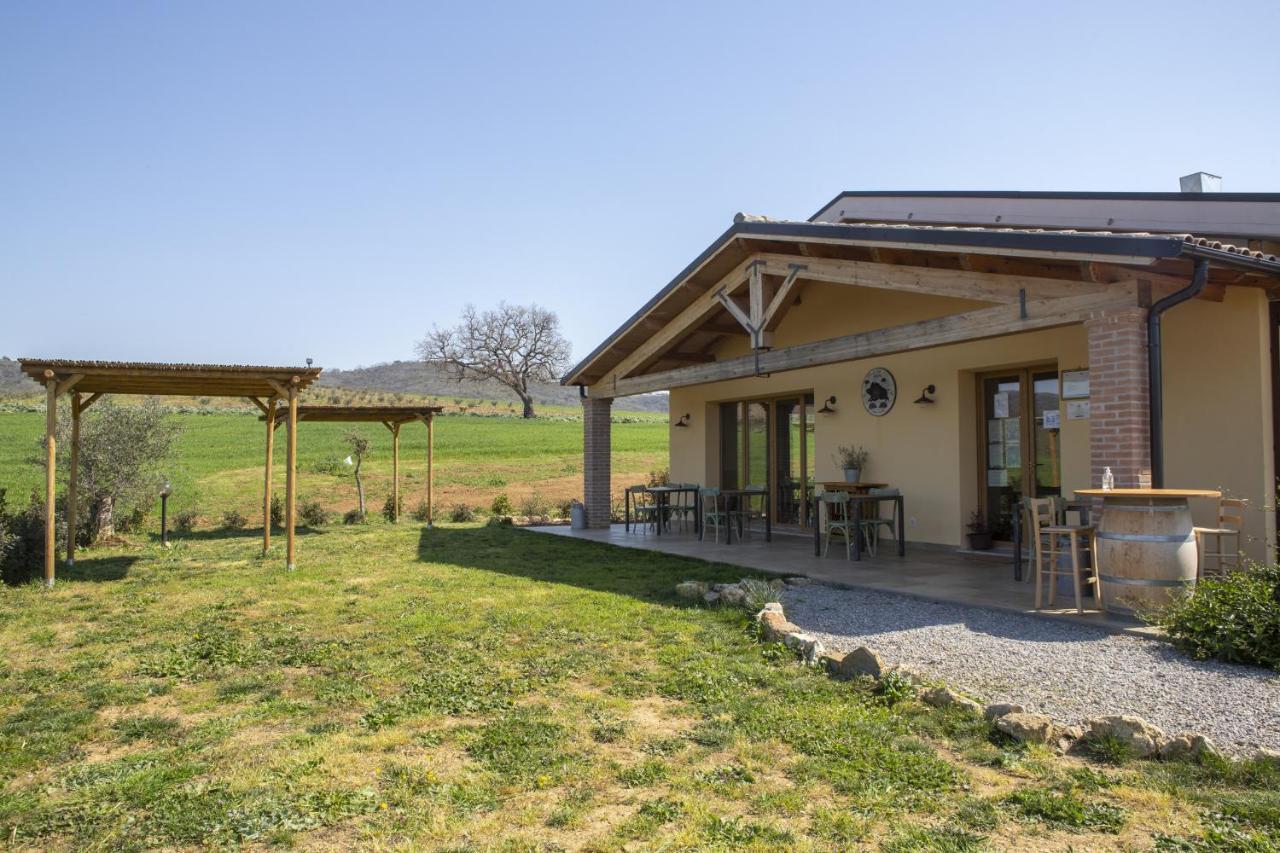 Agriturismo Casa Ricci Villa Magliano in Toscana Bagian luar foto