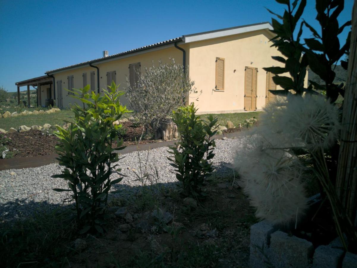 Agriturismo Casa Ricci Magliano in Toscana Bagian luar foto